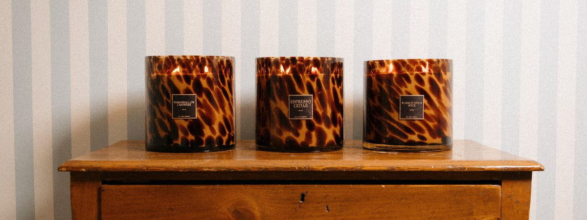 The Story Behind The Scent: The 2026 Fall Collection