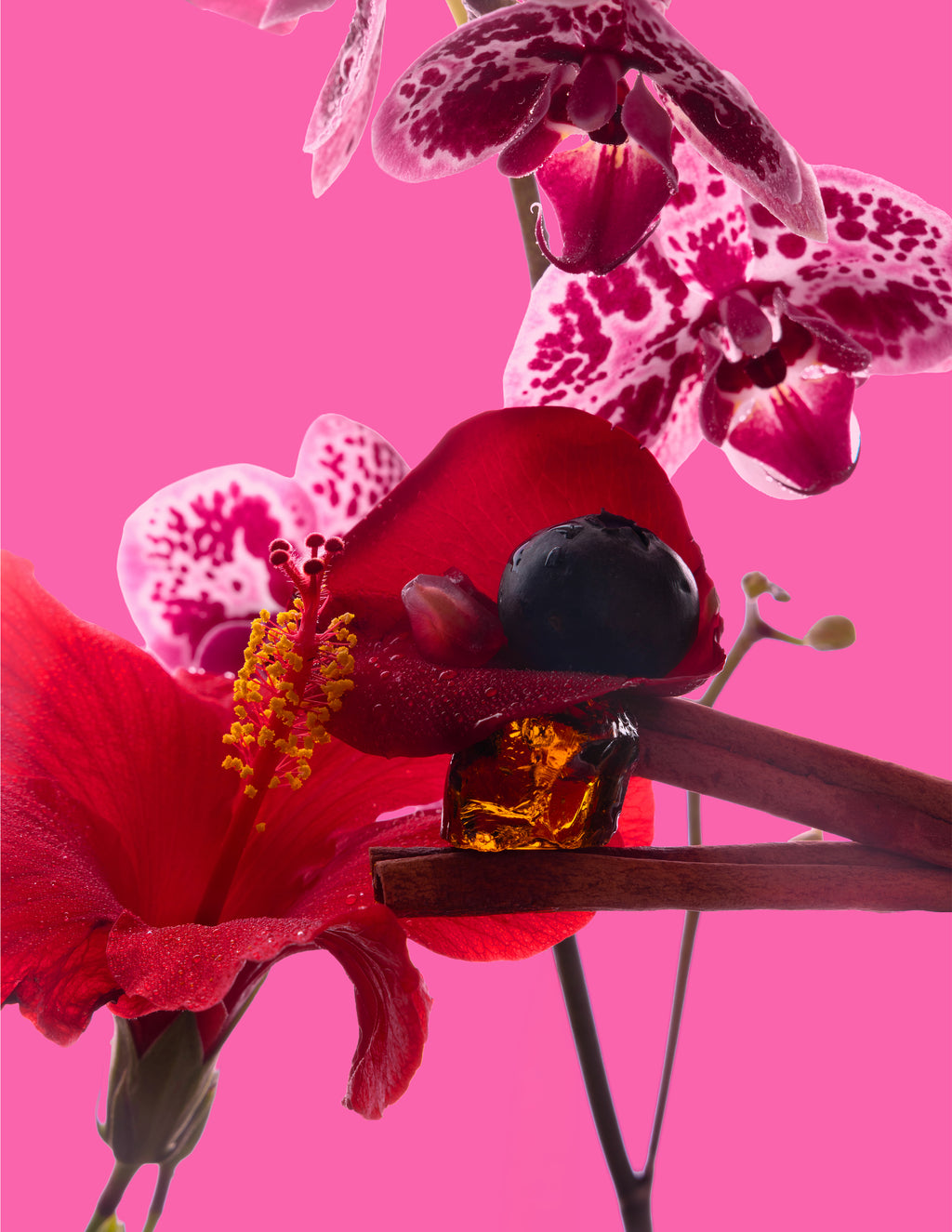 Big Ass Candle - Hibiscus Rose - 300 oz