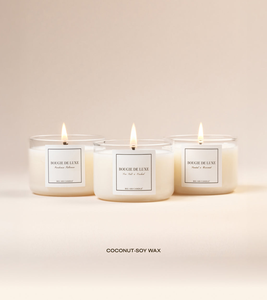 Coastal Bloom - Trio Bundle