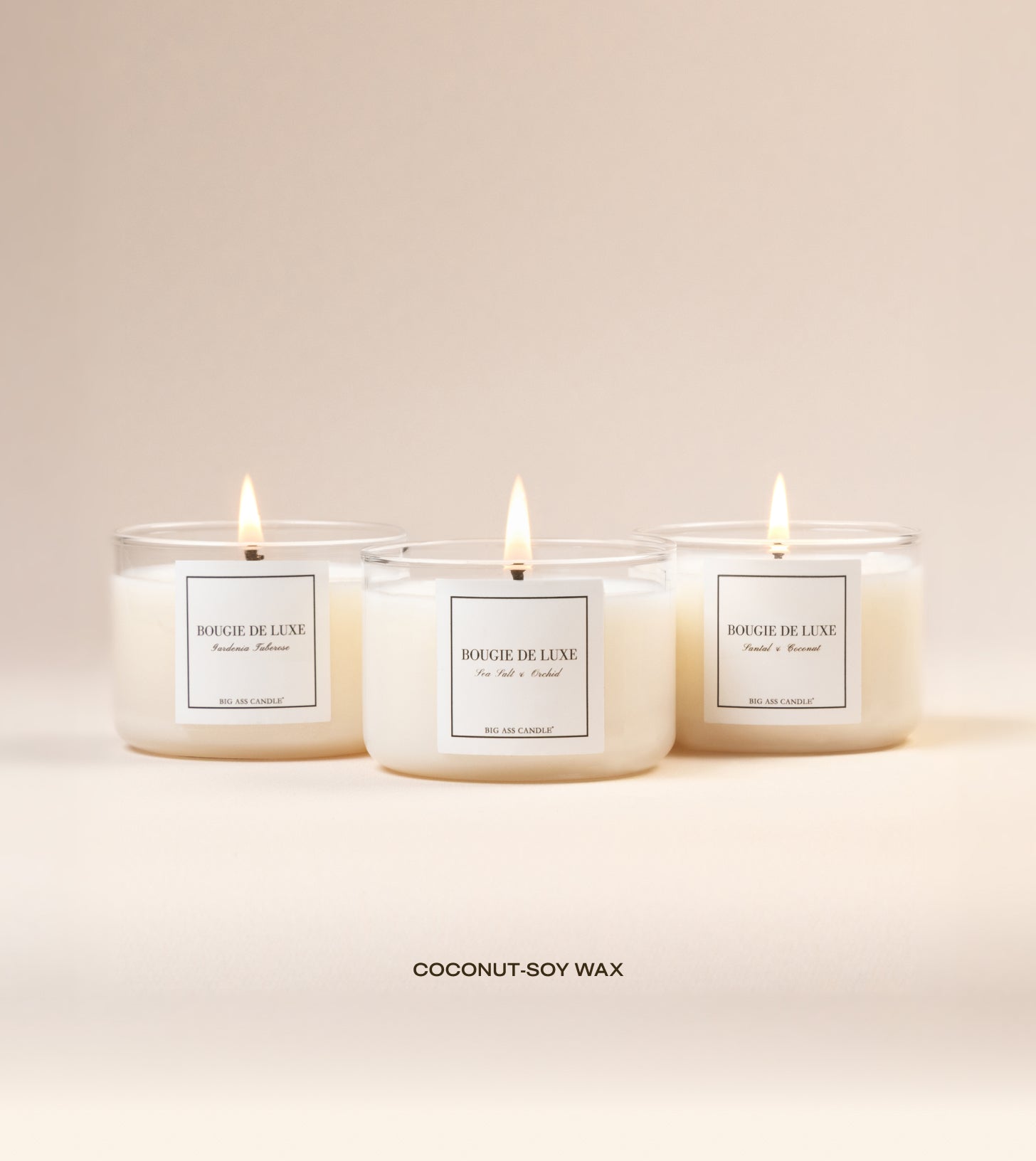 Coastal Bloom - Trio Bundle