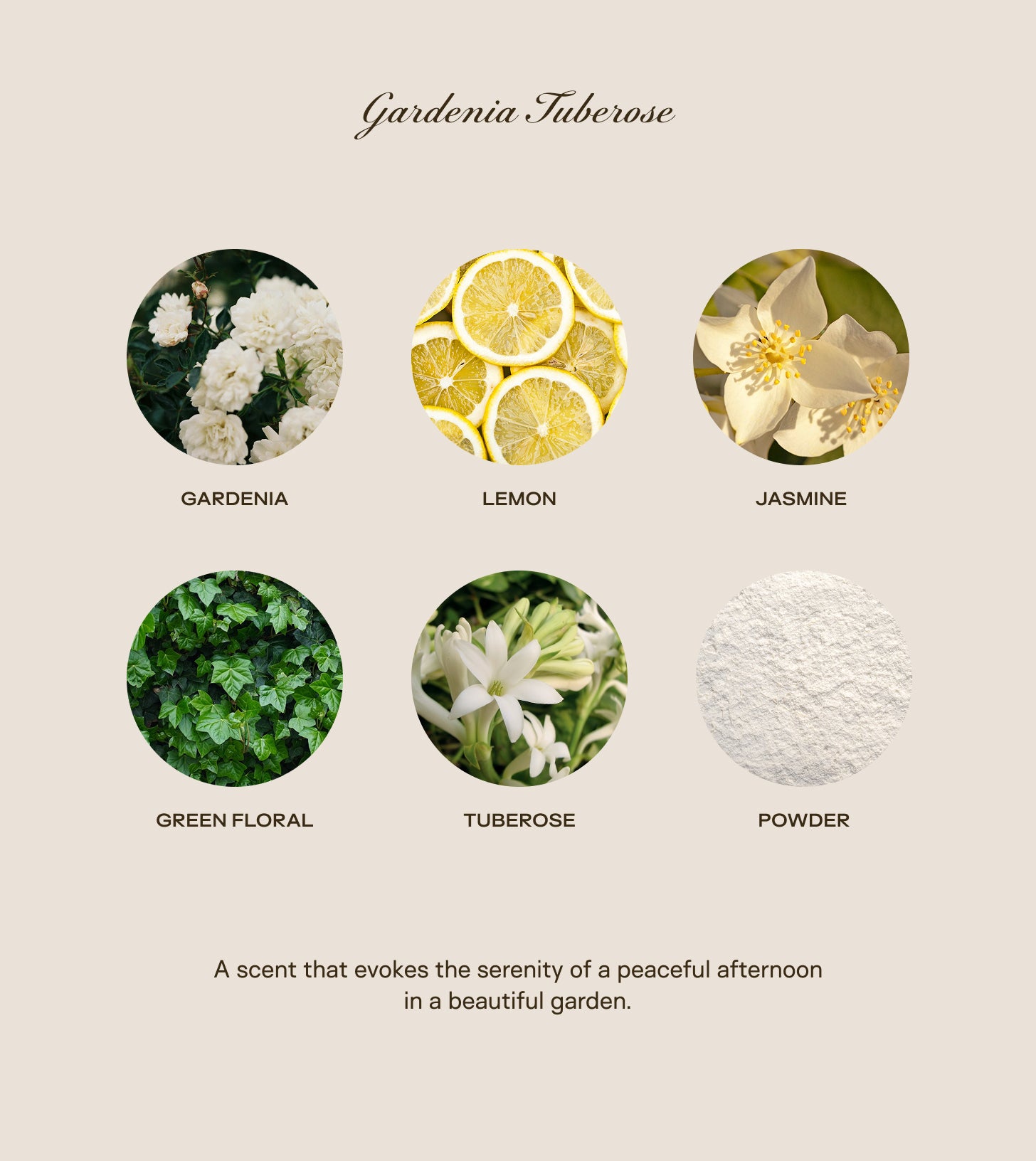 Baby Big Ass Candle - Gardenia Tuberose - 150 oz