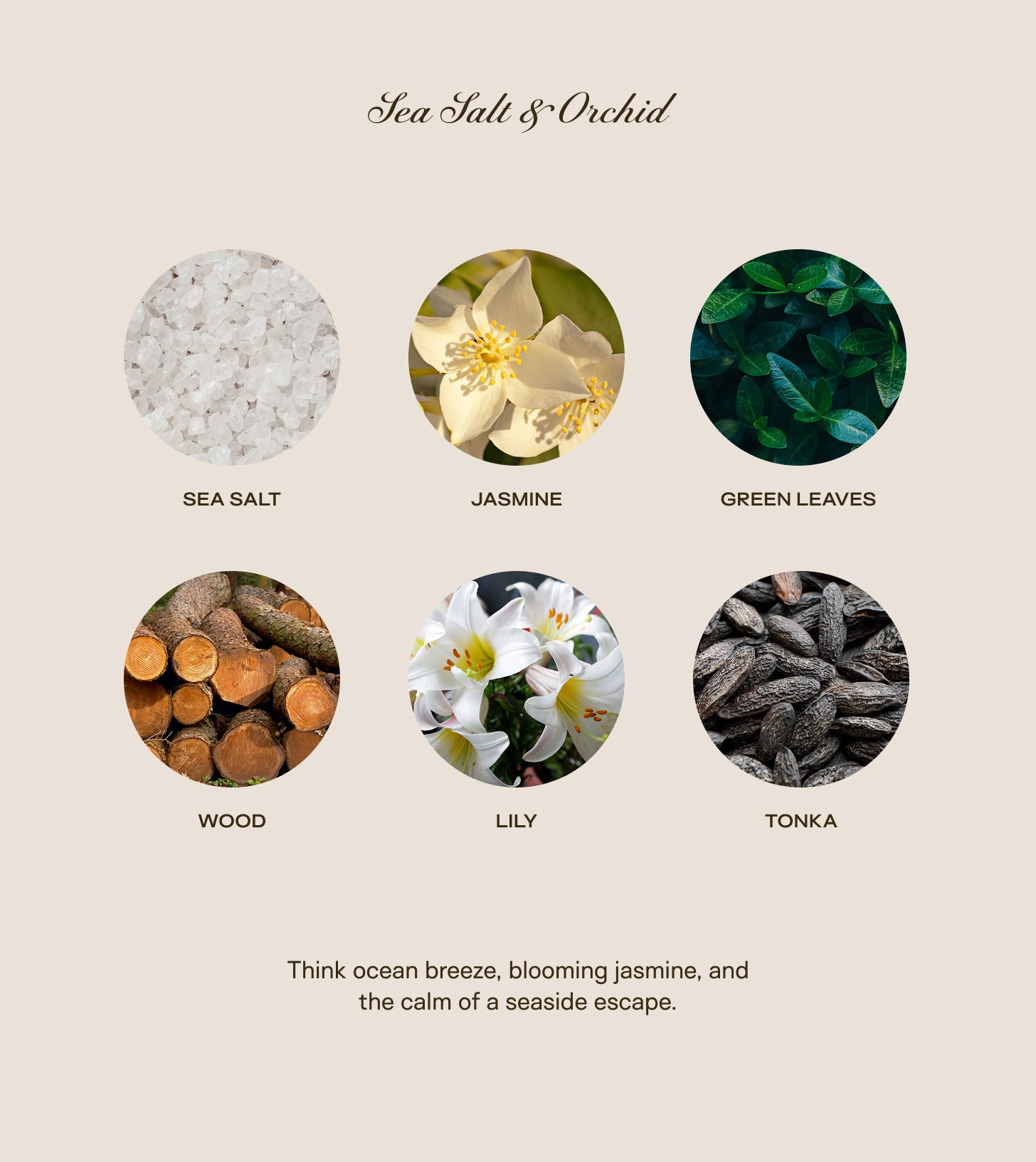 Baby Big Ass Candle - Sea Salt & Orchid - 150 oz