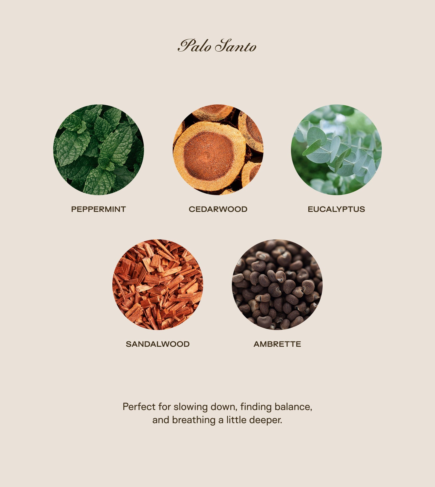 Trio Bundle - All Scents