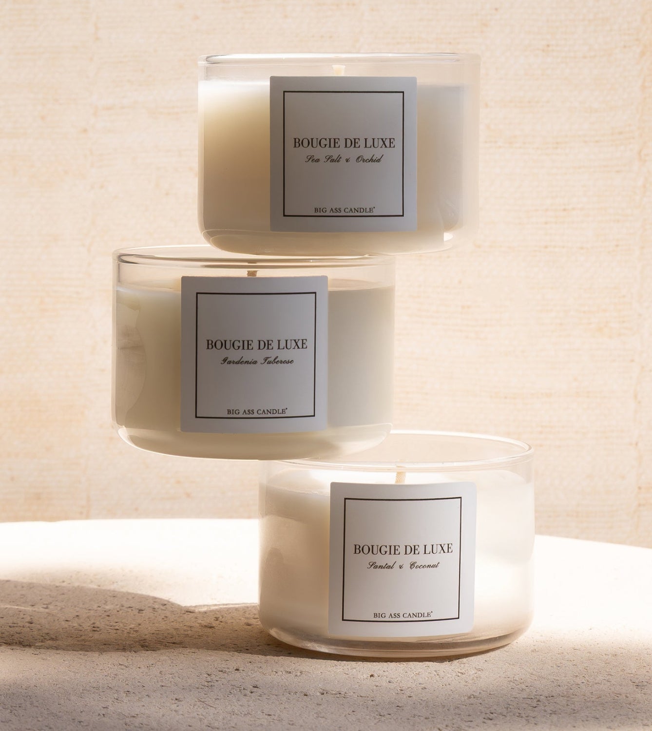 Coastal Bloom - Trio Bundle