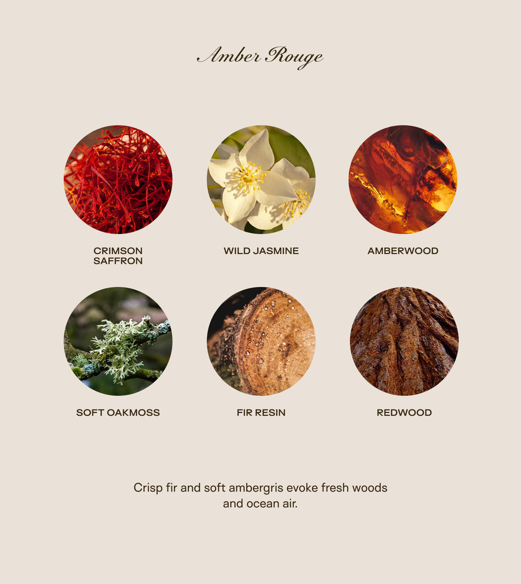 Trio Bundle - All Scents