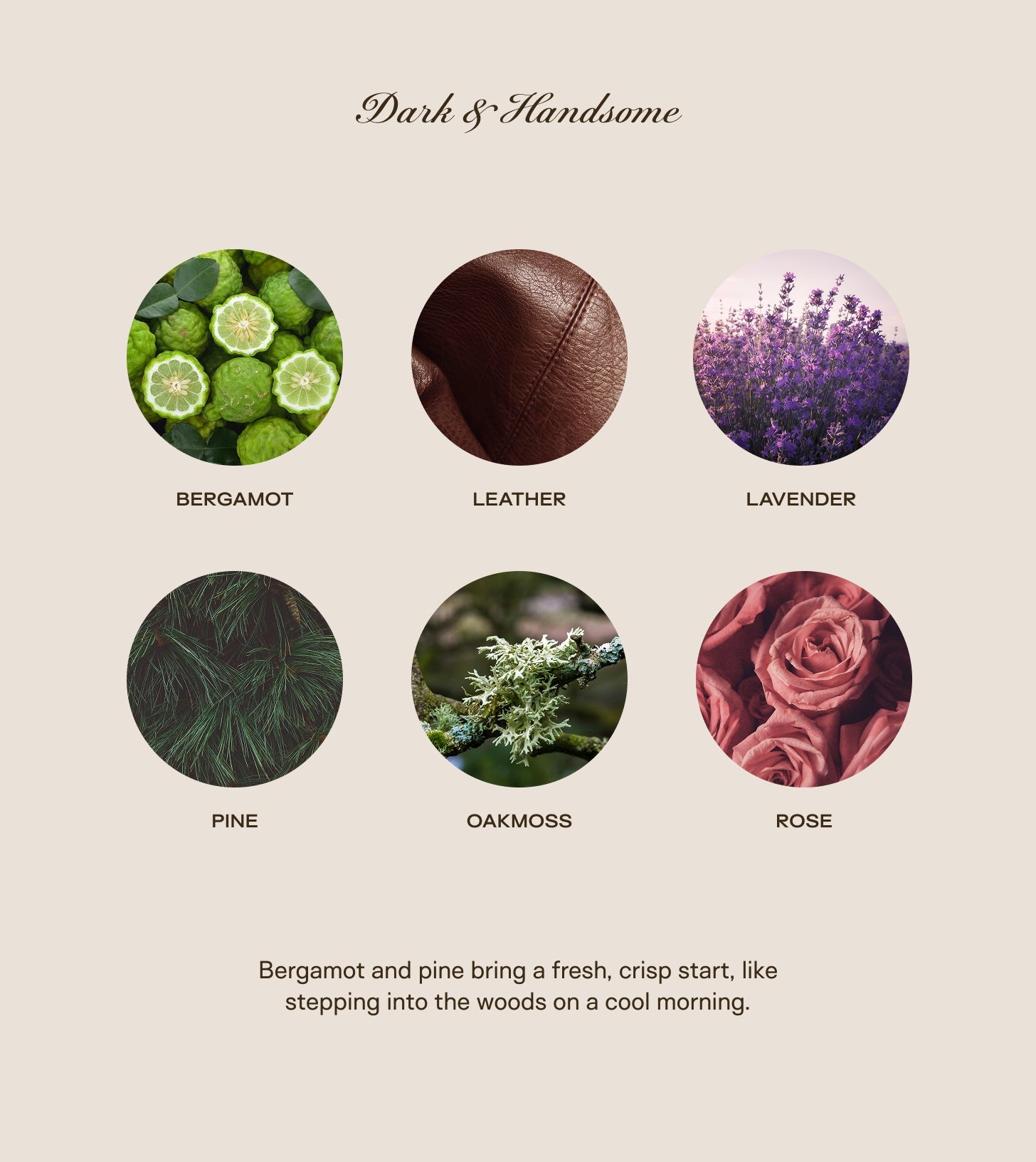 Fireside Mood - Trio Bundle