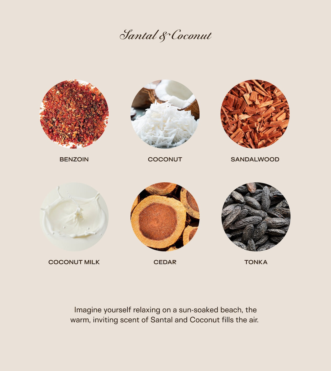 The Big Ass Bundle - Santal & Coconut - 300 oz