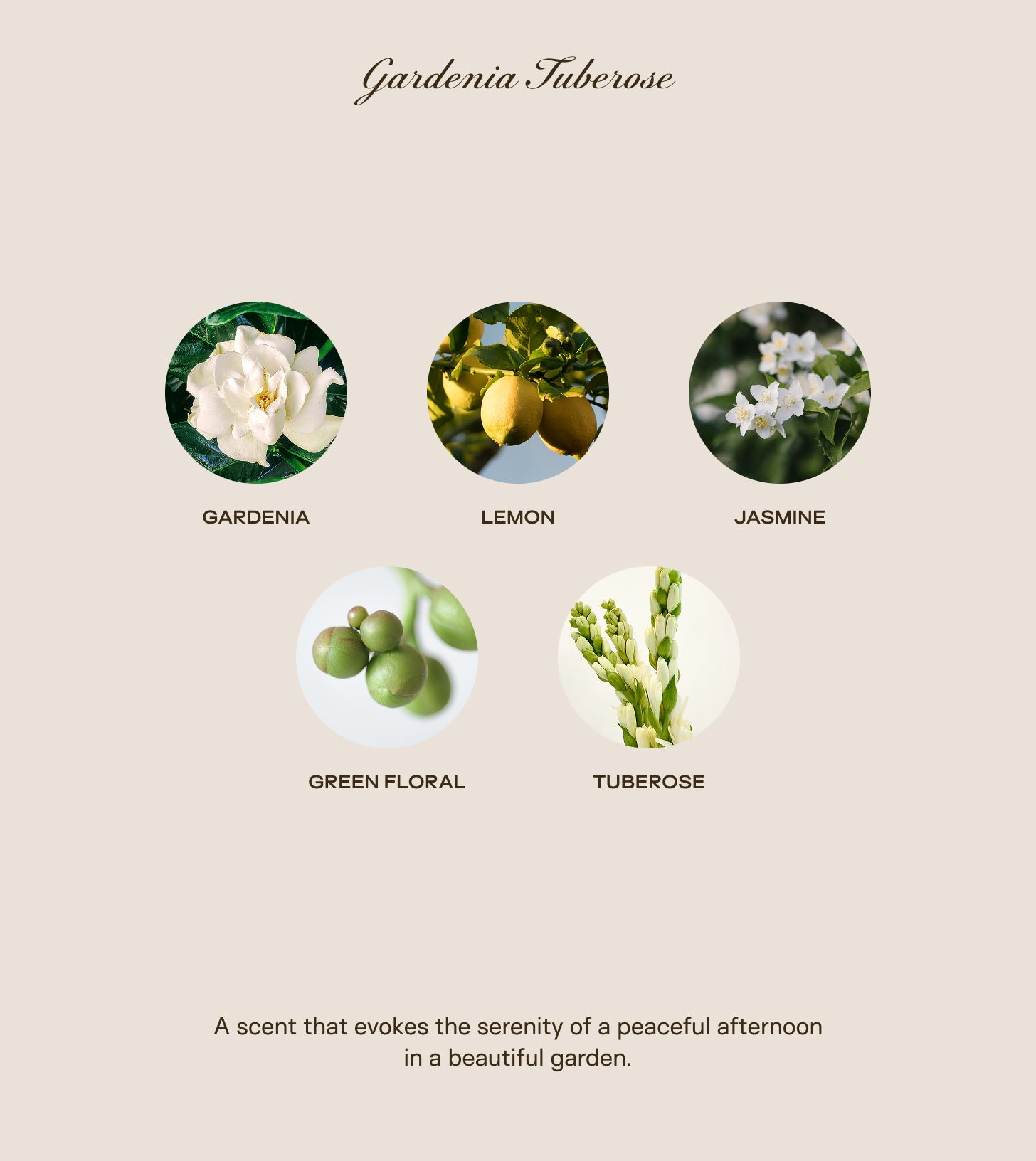 Big Ass Candle - Gardenia Tuberose - 300 oz – Big Ass Luxuries