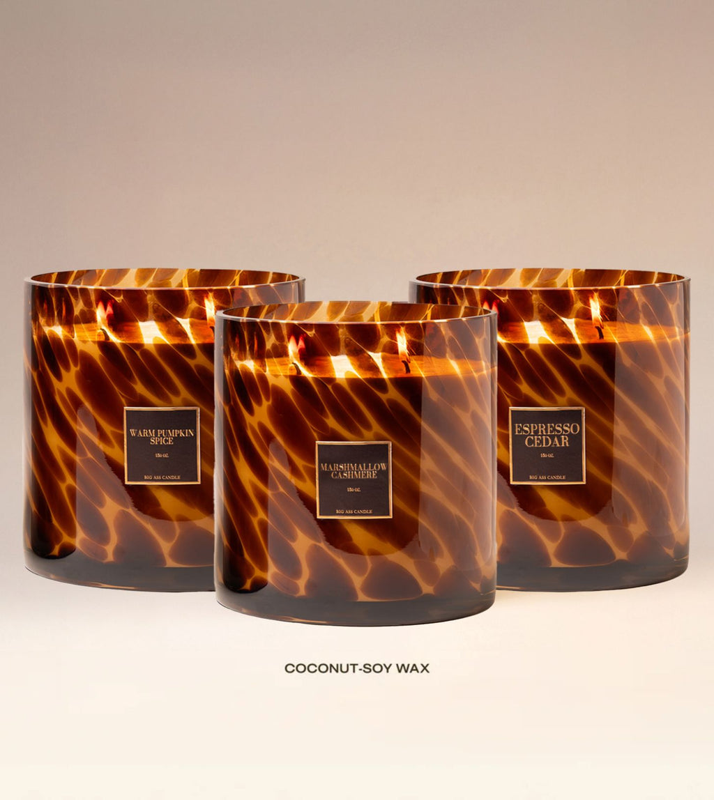 The Fall Collection Bundle