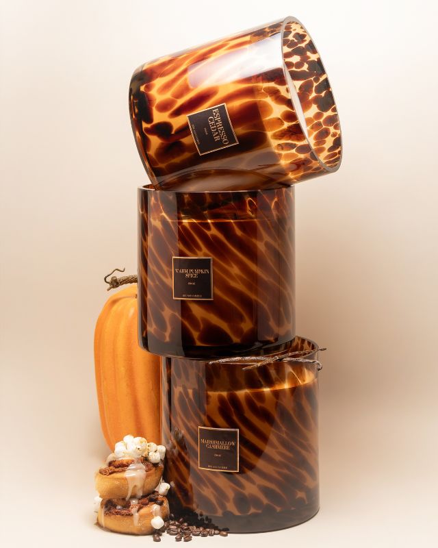 The Fall Collection Bundle