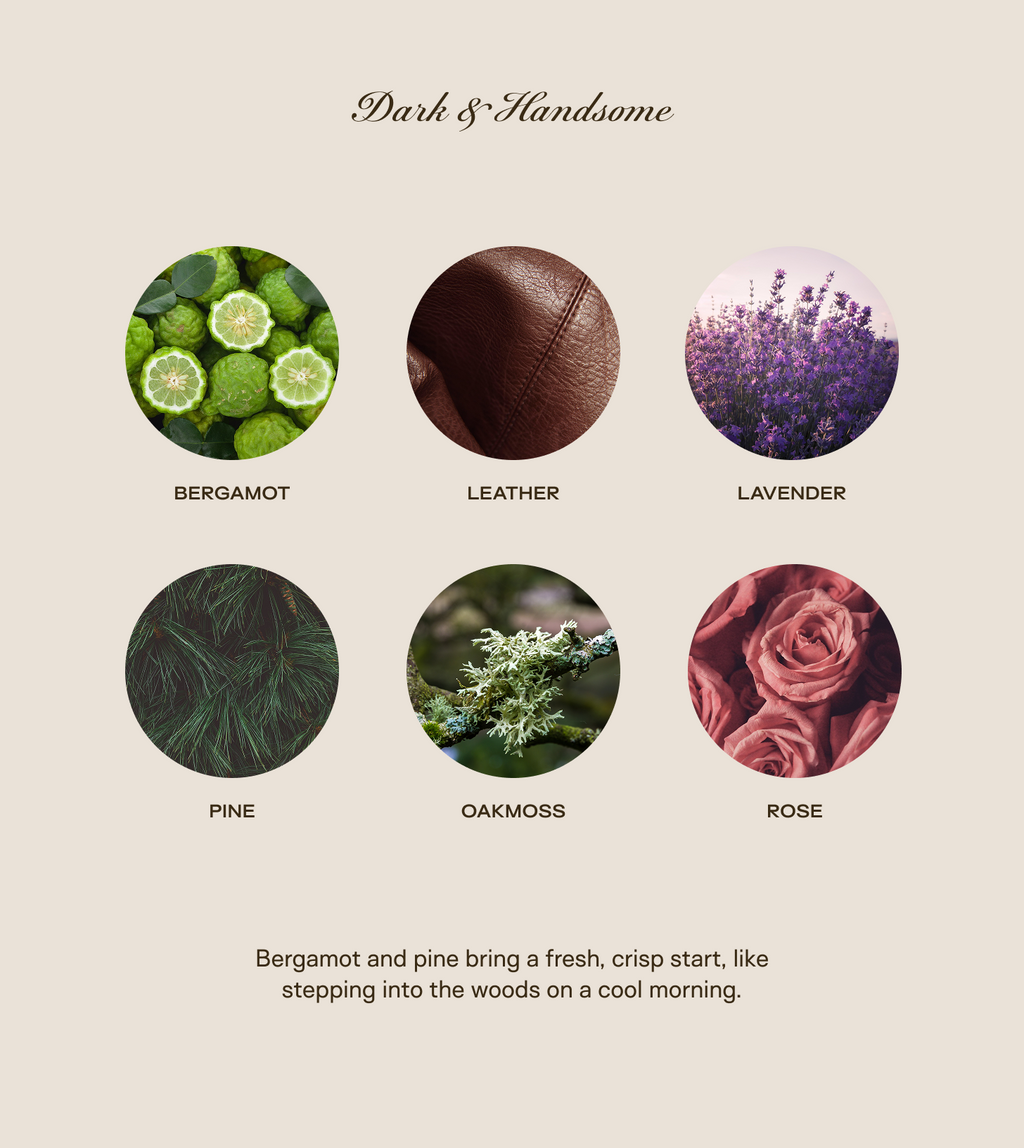 Trio Bundle - All Scents