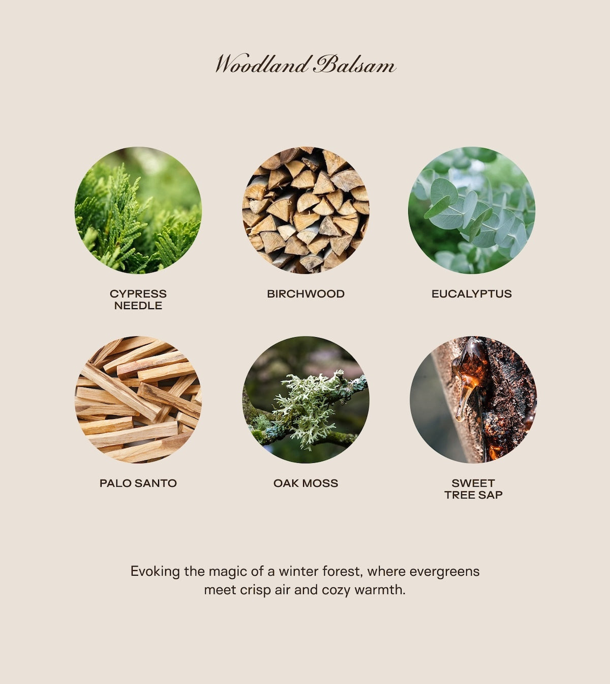 The Holiday Big Ass Bundle - Woodland Balsam - 300 oz