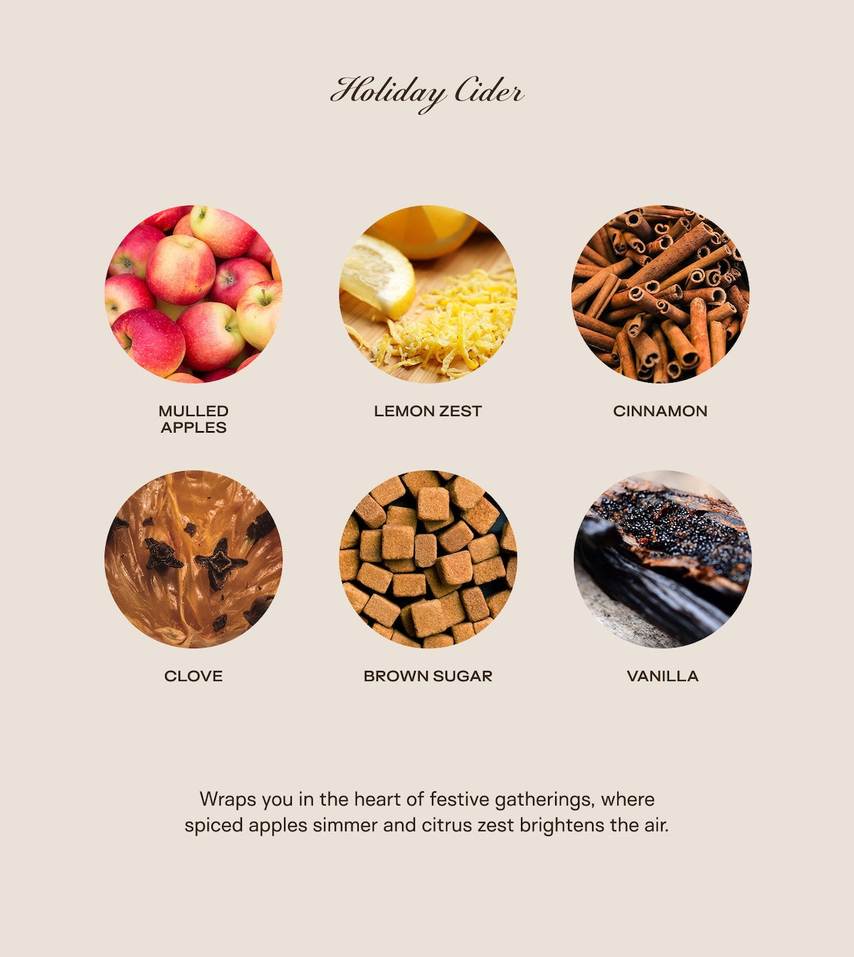The Holiday Baby Big Ass Bundle - Holiday Cider - 150 oz